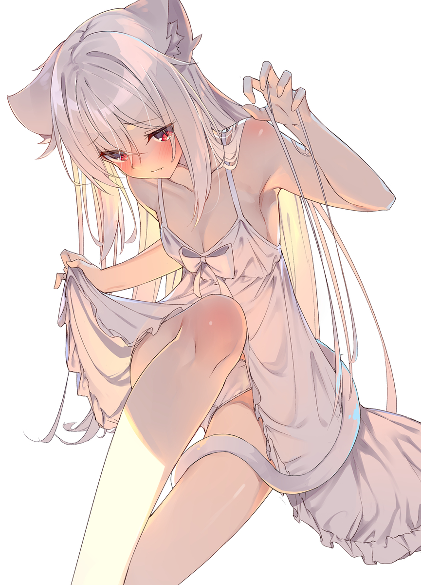 This is a pixiv picture whose title is 白猫ちゃん.