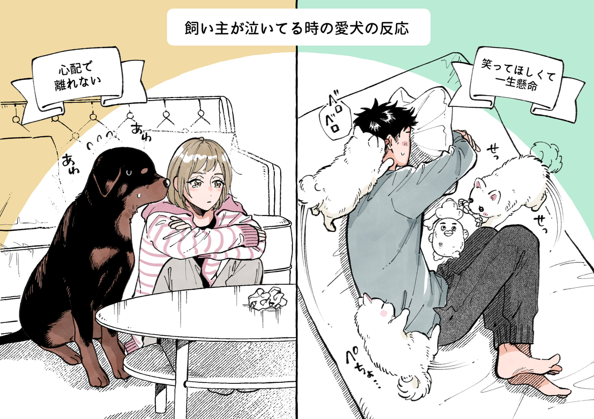 This is a pixiv picture whose title is 飼い主が泣いてる時の愛犬の反応.