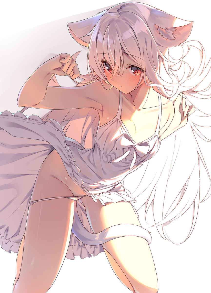 This is a pixiv picture whose title is 白猫ちゃん.