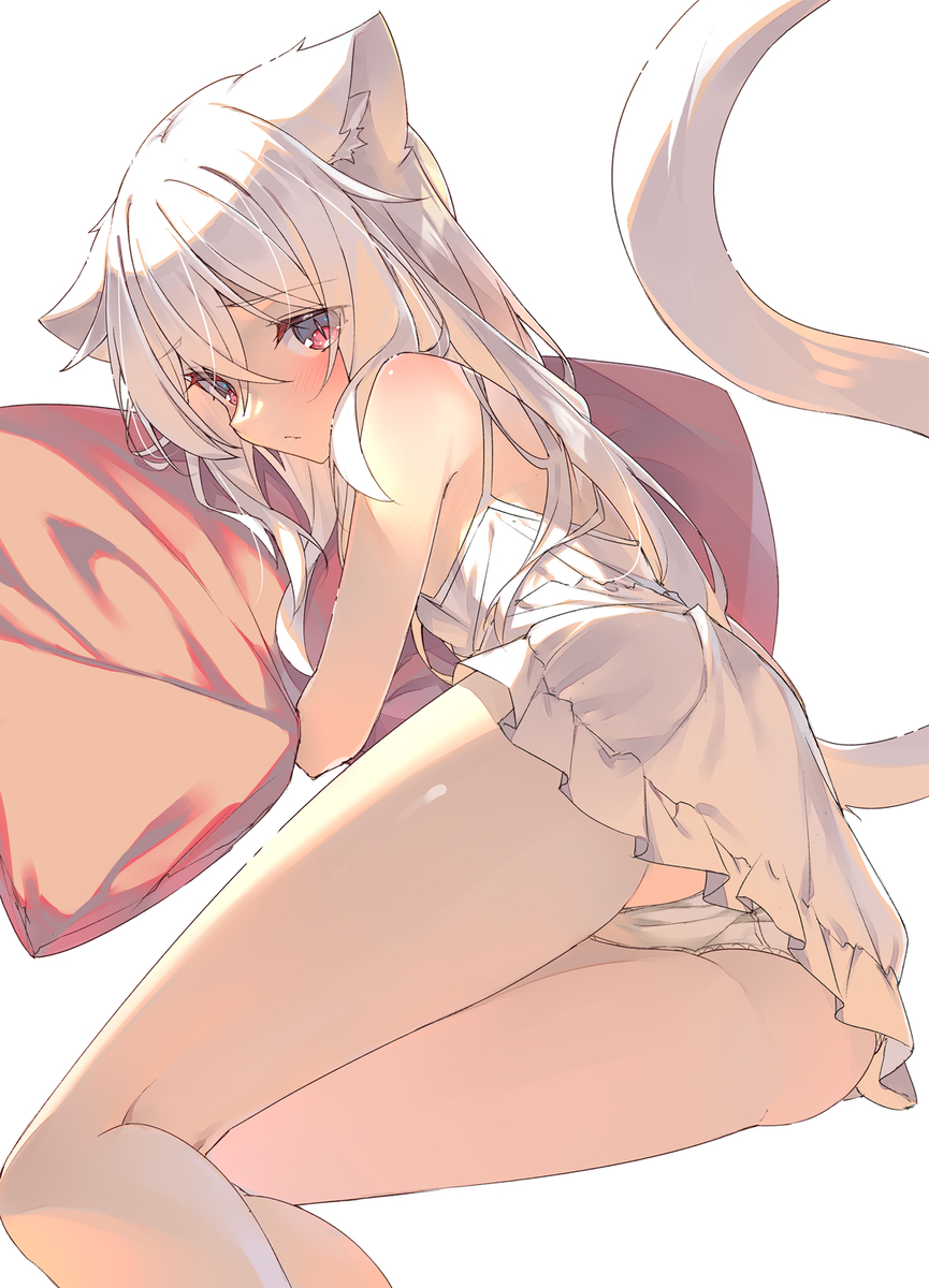 This is a pixiv picture whose title is 白猫ちゃん.