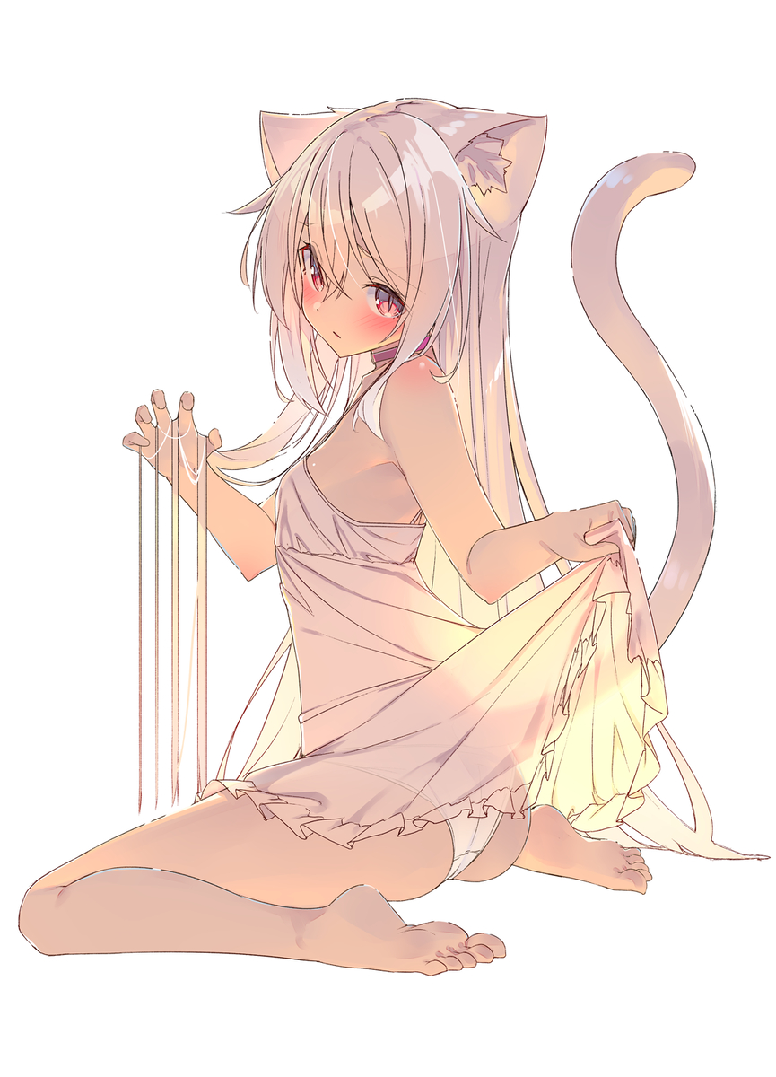 This is a pixiv picture whose title is 白猫ちゃん.