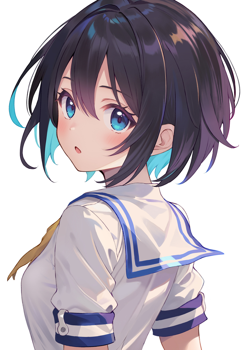 This is a pixiv picture whose title is 黒髪×セーラー.