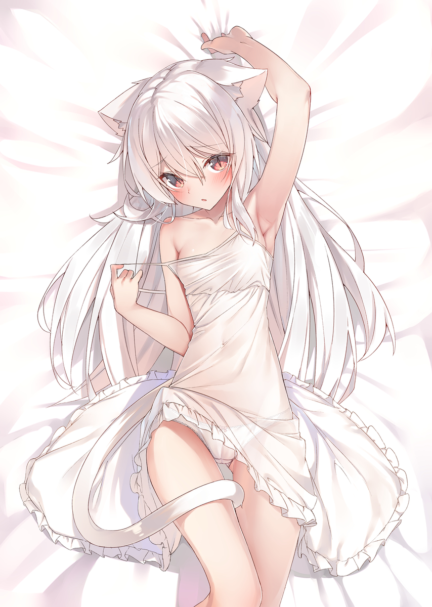 This is a pixiv picture whose title is 白猫ちゃん.
