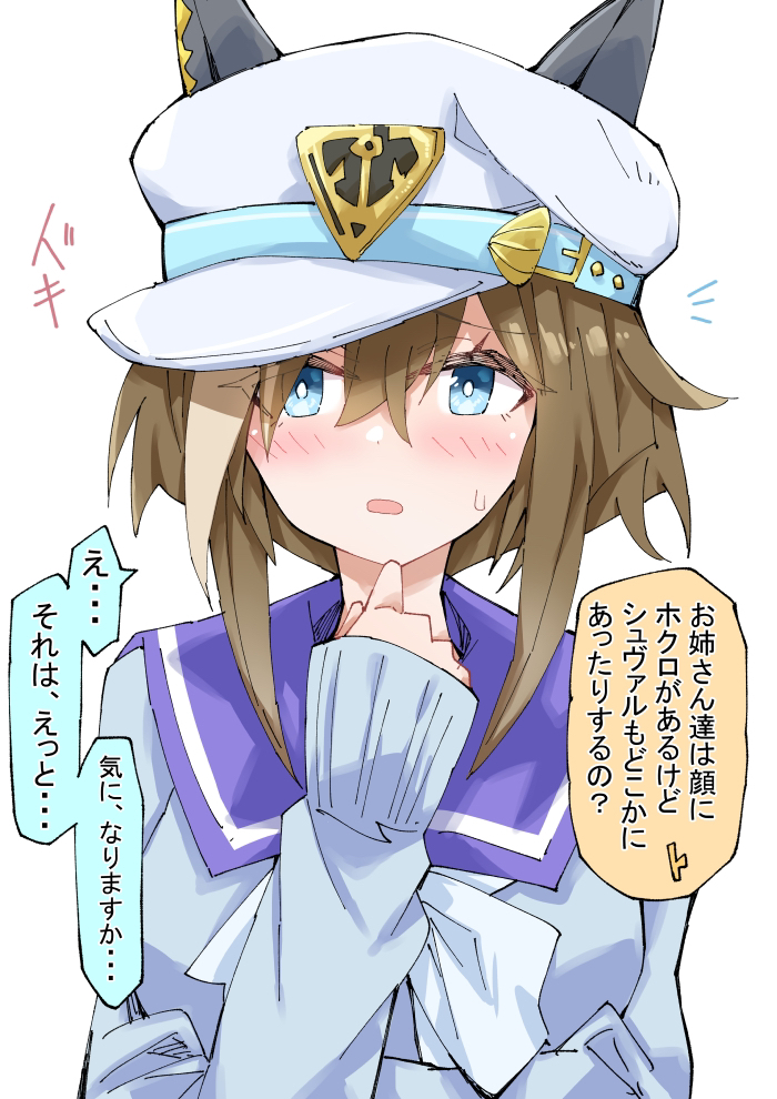 This is a pixiv picture whose title is シュヴァちに聞いてみた.