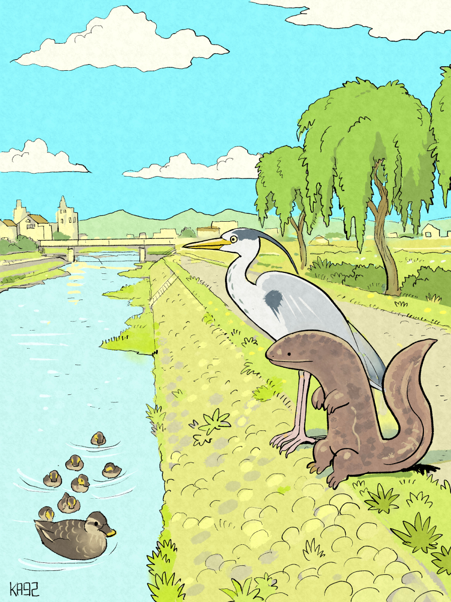 This is a pixiv picture whose title is かも川.