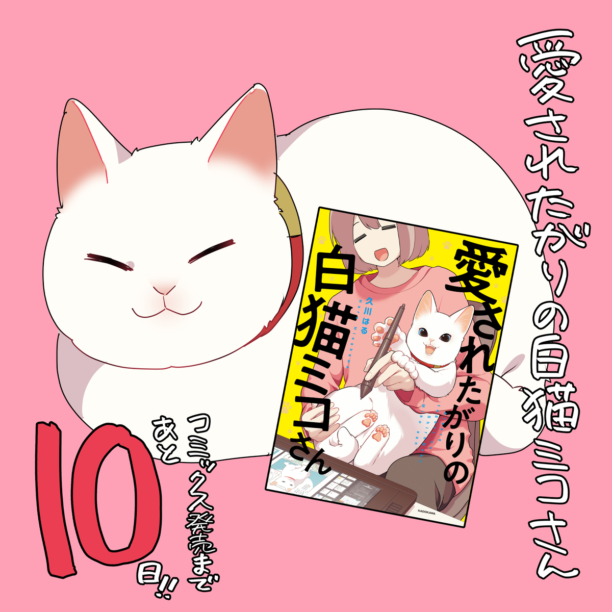 This is a pixiv picture whose title is 『愛されたがりの白猫ミコさん』発売まであと10日！.