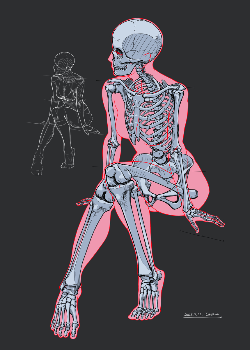 This is a pixiv picture whose title is 座る女性　全身骨格の推定.