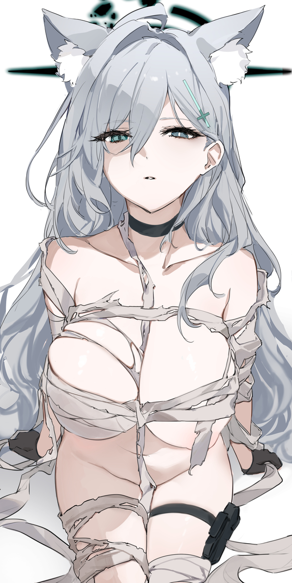 This is a pixiv picture whose title is シロコ＊テラー.