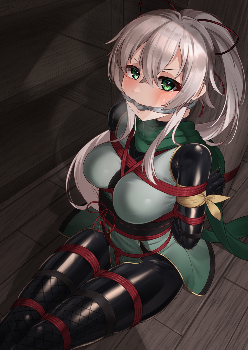 This is a pixiv picture whose title is 【skeb】フィアネルちゃん緊縛監禁.