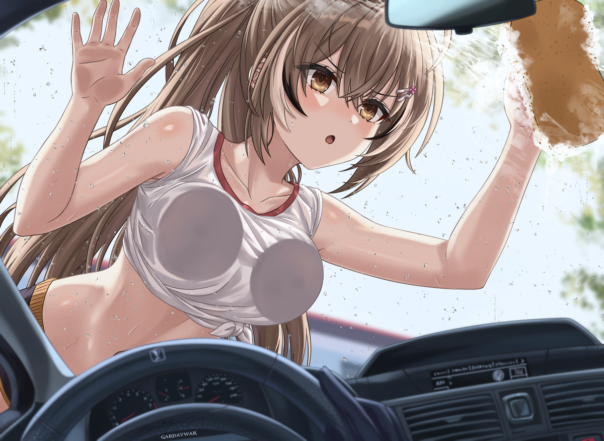 This is a pixiv picture whose title is Carwash.