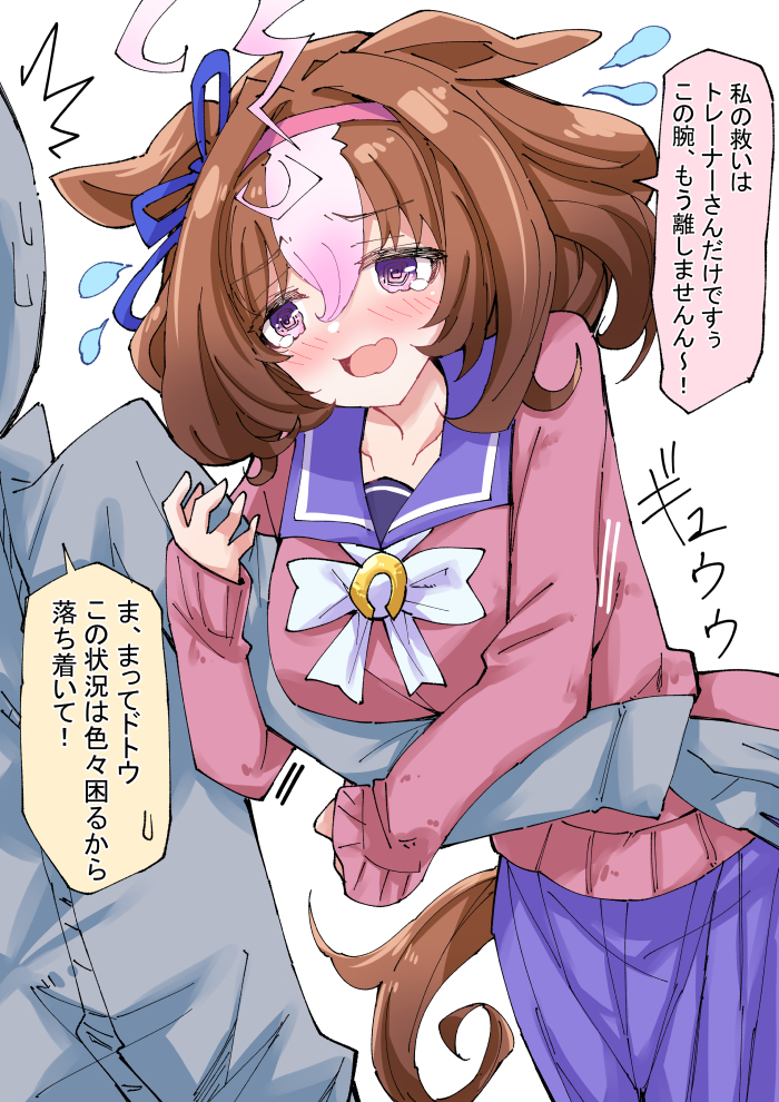 This is a pixiv picture whose title is 救いを求めるメイショウドトウちゃん.