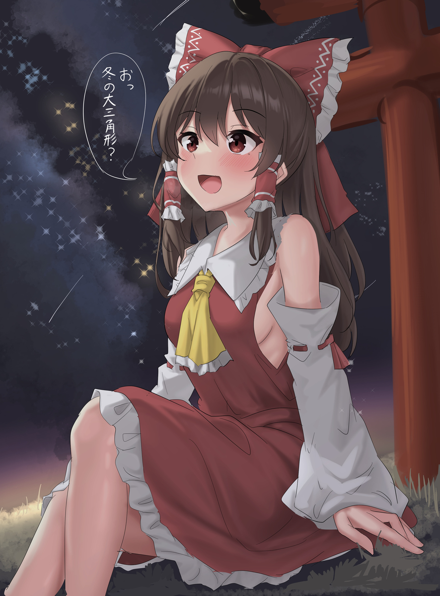 This is a pixiv picture whose title is 冬の夜空を楽しむ霊夢さん.