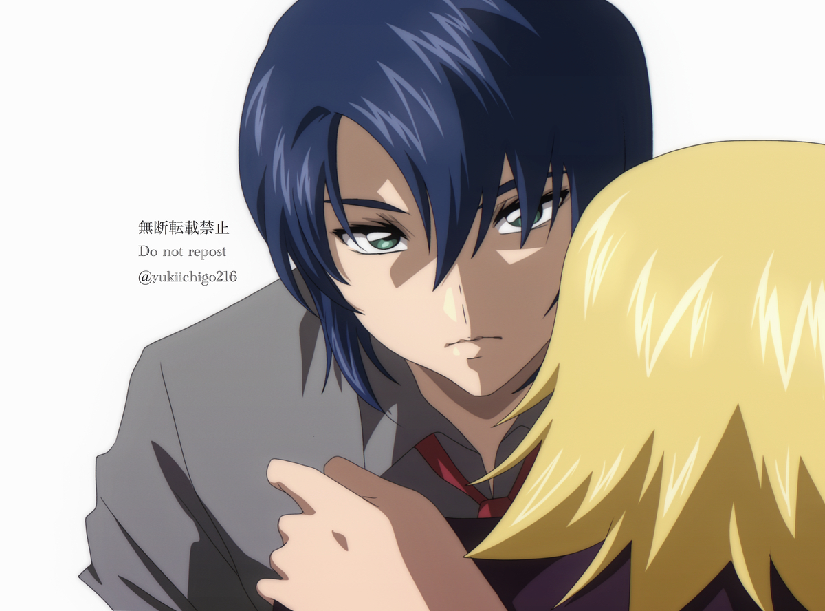 This is a pixiv picture whose title is 種フリログ6.