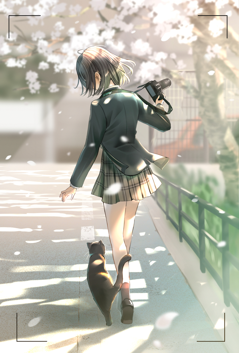 This is a pixiv picture whose title is 「写真部の先輩と猫」.