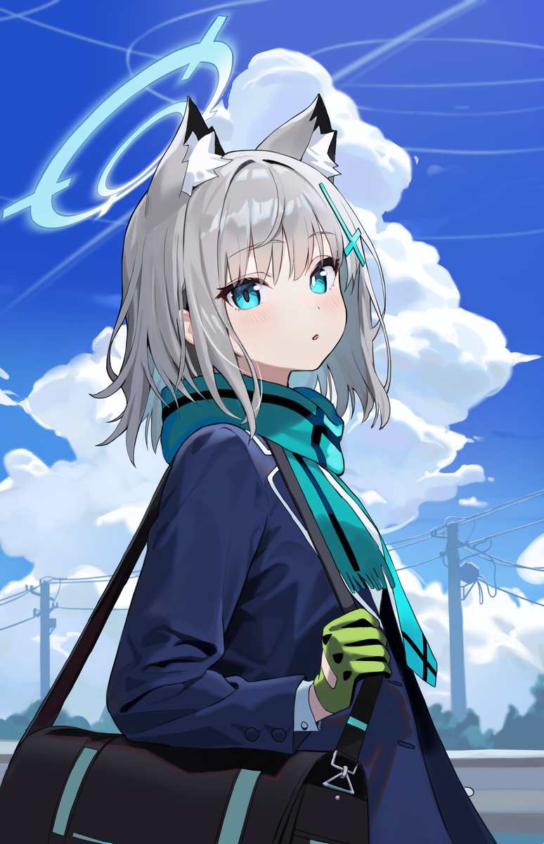 This is a pixiv picture whose title is シロコ.
