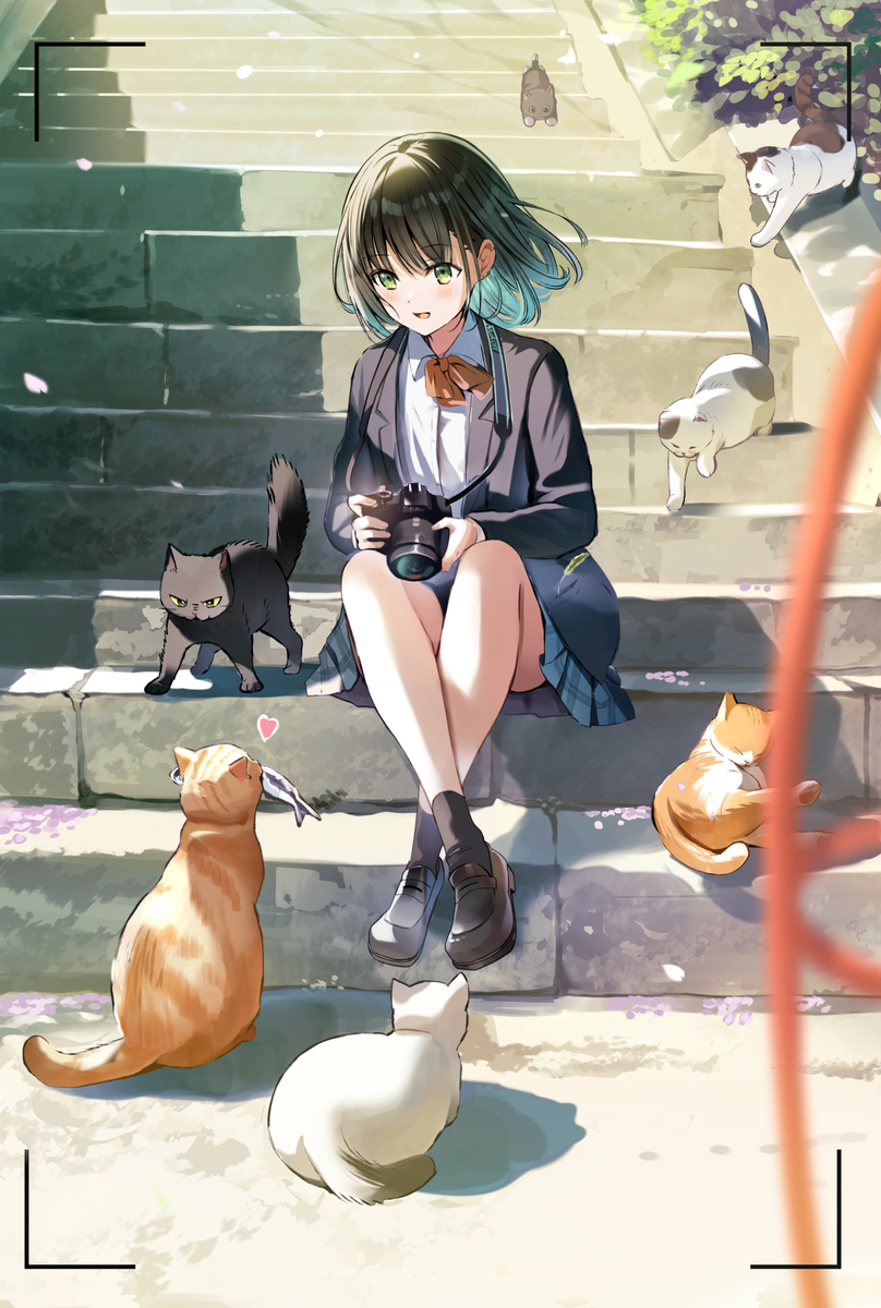 This is a pixiv picture whose title is 「野良猫に好かれる写真部の先輩」.