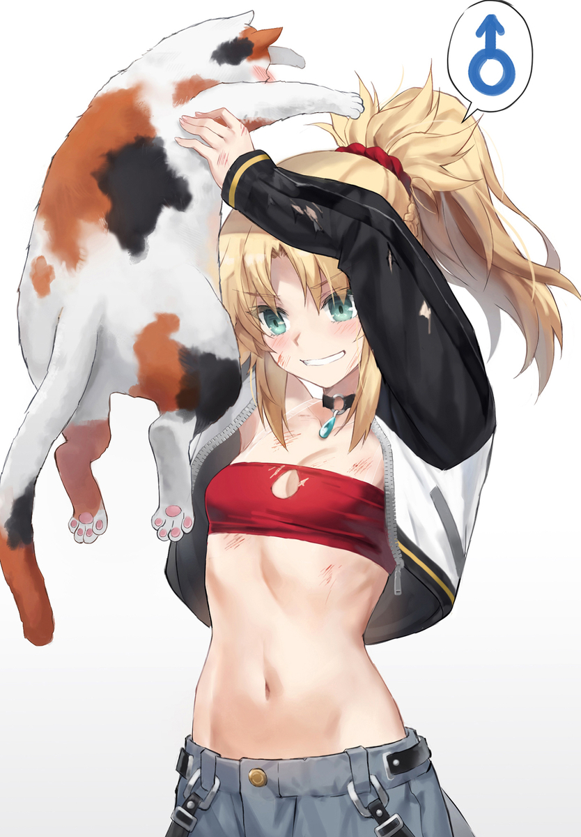 This is a pixiv picture whose title is 猫診断をするモードレッド.