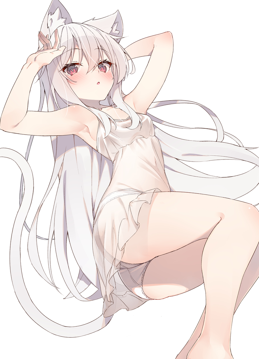 This is a pixiv picture whose title is 白猫ちゃん.