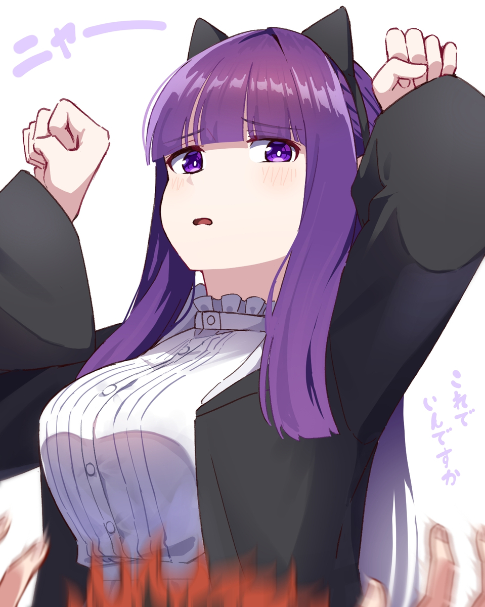 This is a pixiv picture whose title is ネコフェルン.