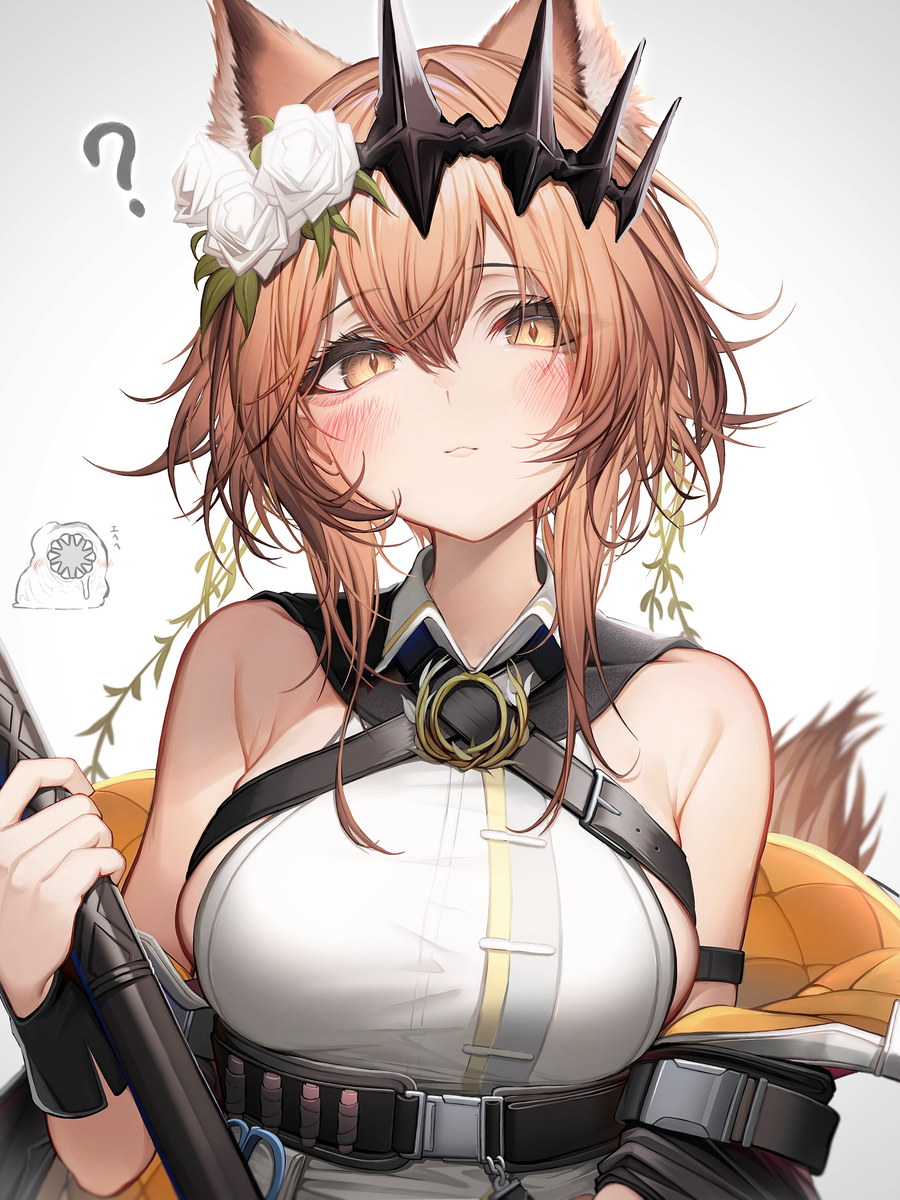This is a pixiv picture whose title is ヴァンデラ.