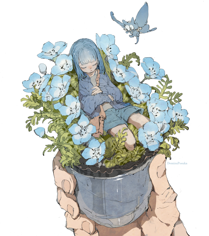 This is a pixiv picture whose title is ネモフィラ.