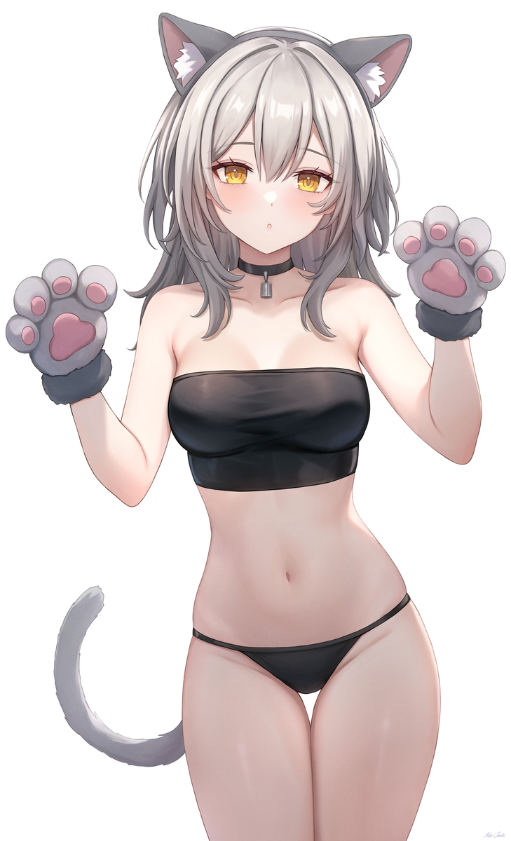 This is a pixiv picture whose title is Stelle, cat or racoon?.