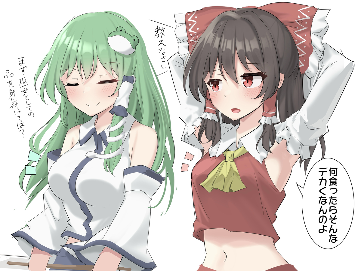 This is a pixiv picture whose title is 守矢と博麗の差.