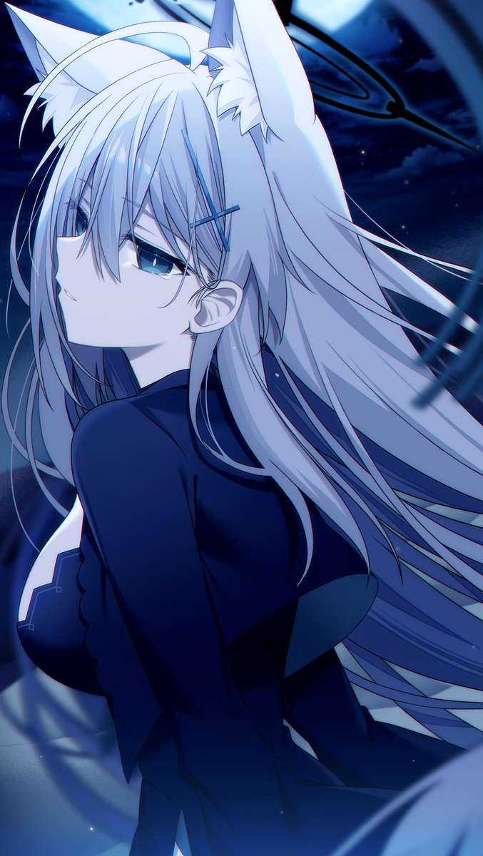 This is a pixiv picture whose title is シロコテラー.