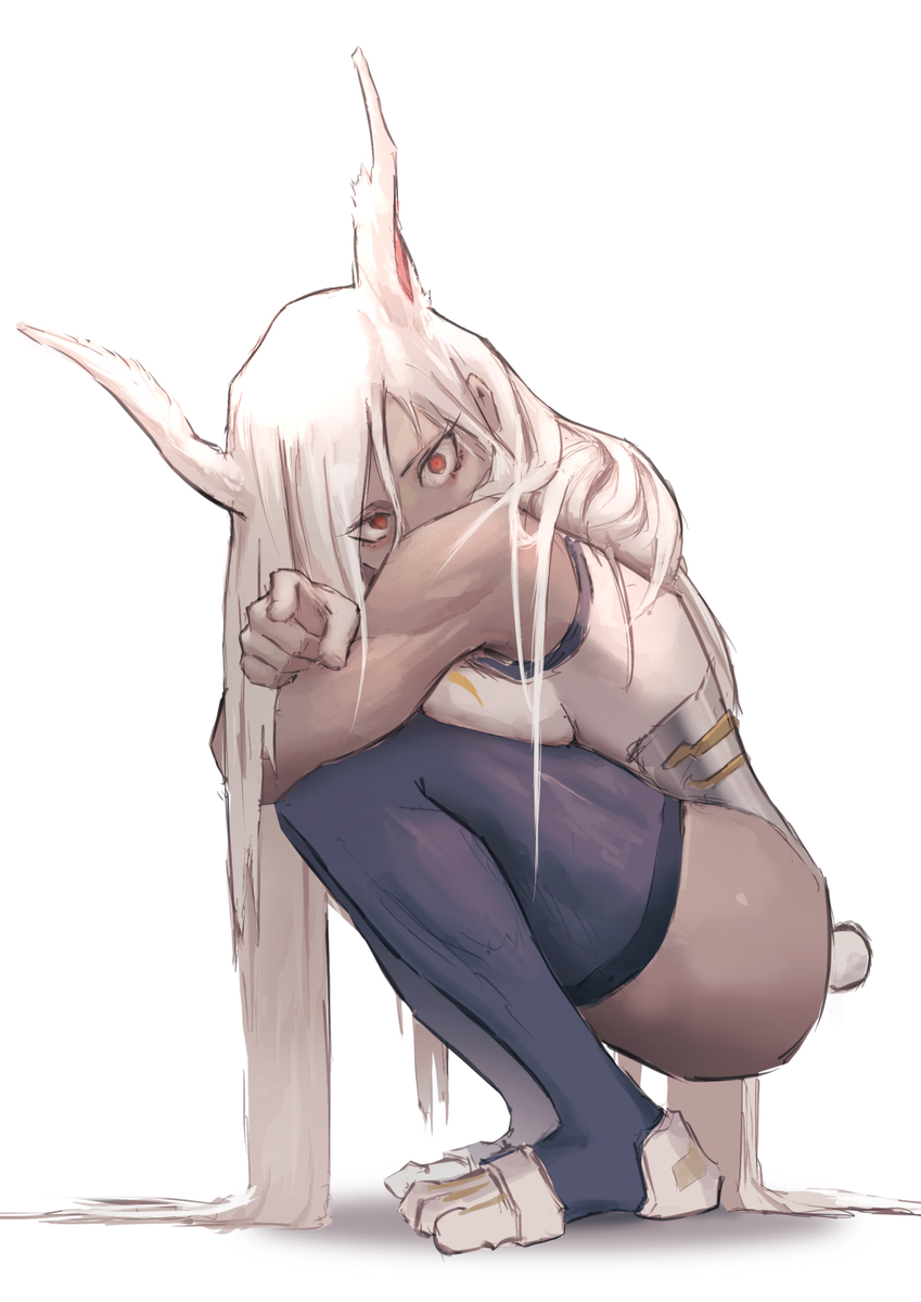 This is a pixiv picture whose title is ミルコ.