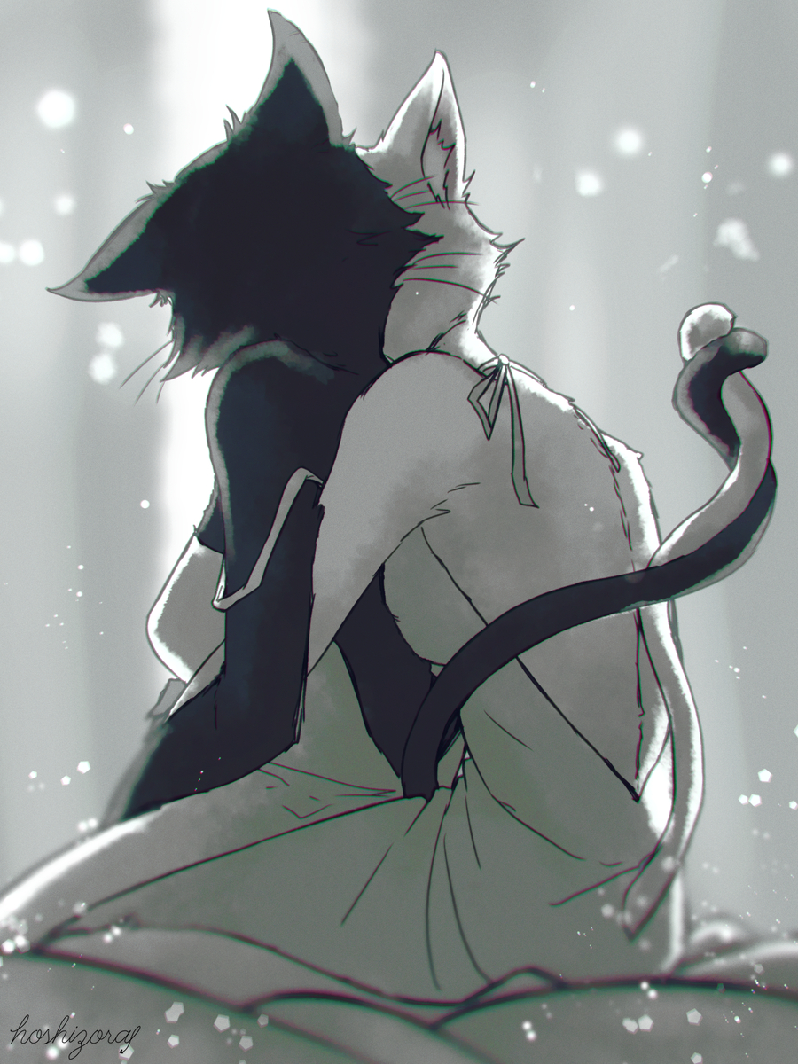 This is a pixiv picture whose title is ねこ.