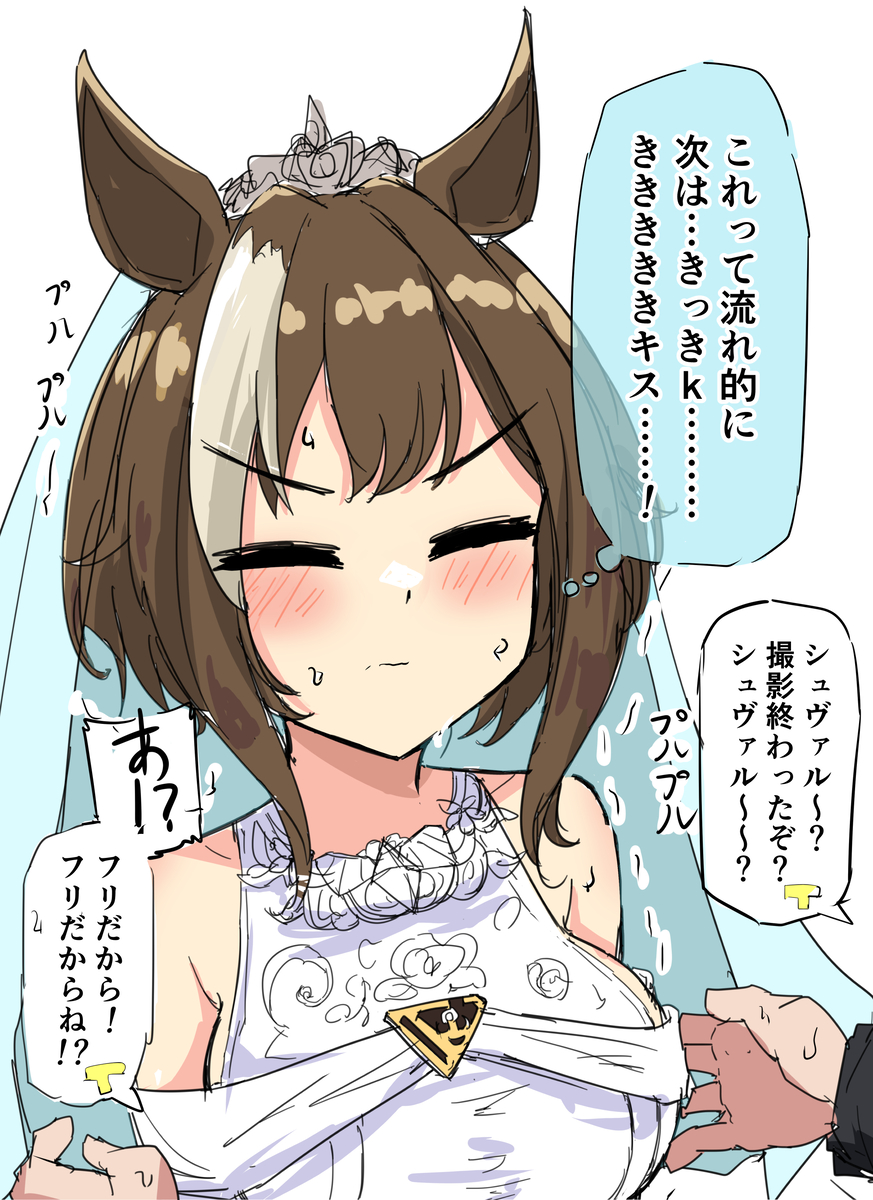 This is a pixiv picture whose title is シュヴァルと撮影中.