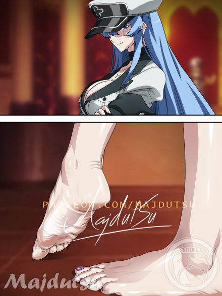 This is a pixiv picture whose title is Esdeath Feet.