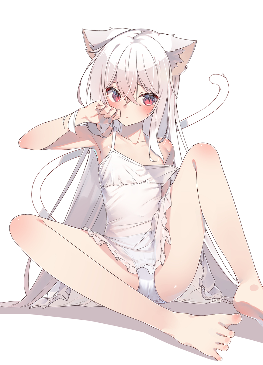 This is a pixiv picture whose title is 白猫ちゃん.