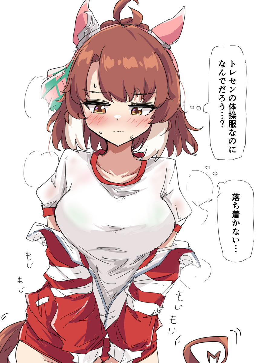 This is a pixiv picture whose title is 元が牡馬のウマ娘がブルマ履いたらどうなってしまうんだ？.
