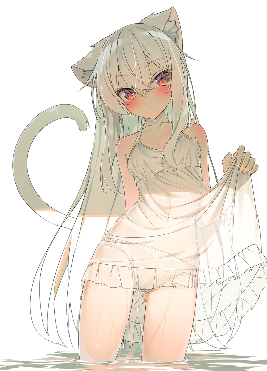 This is a pixiv picture whose title is 白猫ちゃん.