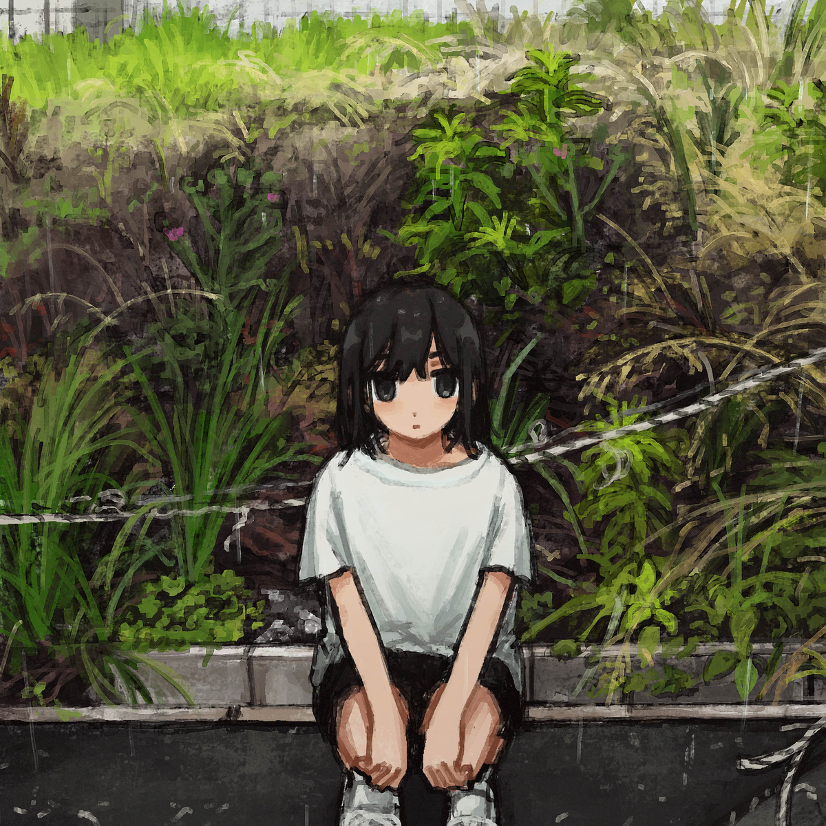 This is a pixiv picture whose title is 緑の草、枯れた草.