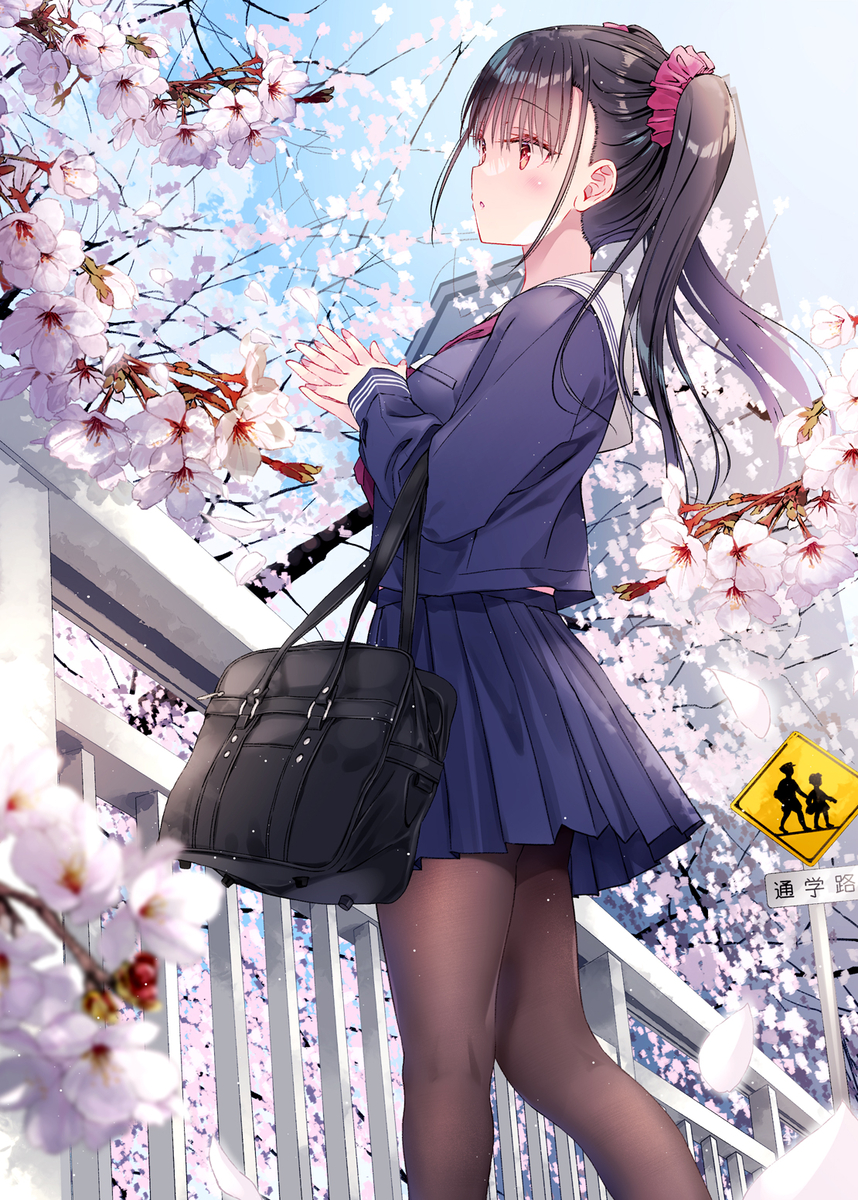 This is a pixiv picture whose title is 満開の桜が新学期の始まりを.