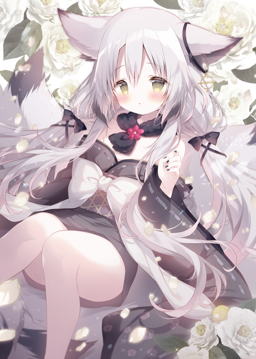 This is a pixiv picture whose title is 九尾の傍観者.