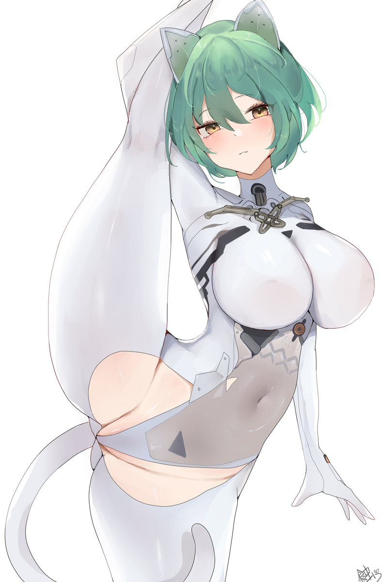 This is a pixiv picture whose title is 柔度.