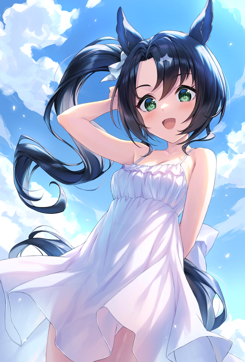 This is a pixiv picture whose title is 白ワンピースクラウン.