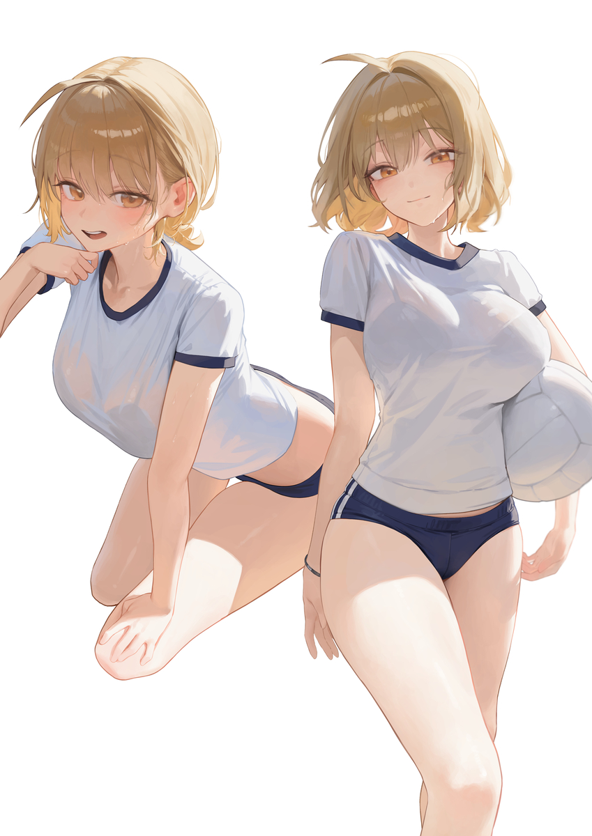 This is a pixiv picture whose title is ブルマ·アニス.