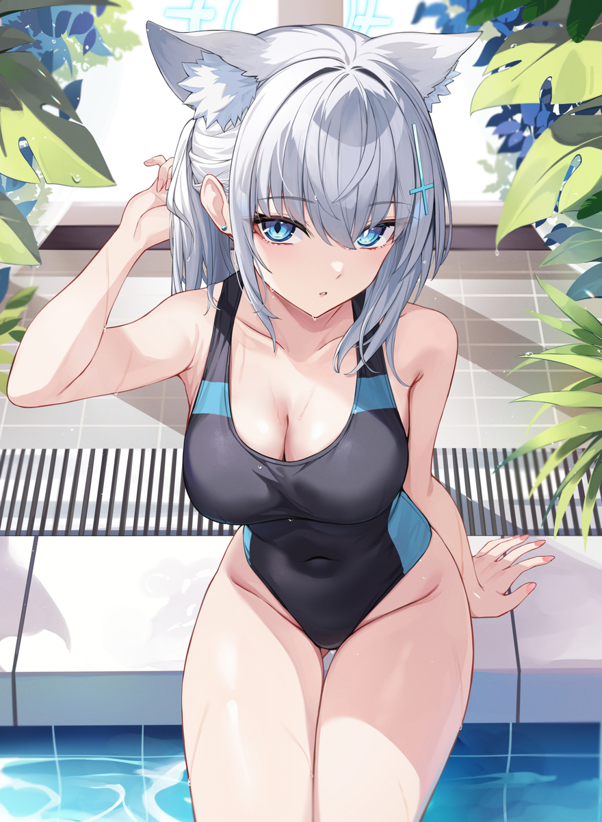 This is a pixiv picture whose title is 水着シロコ.