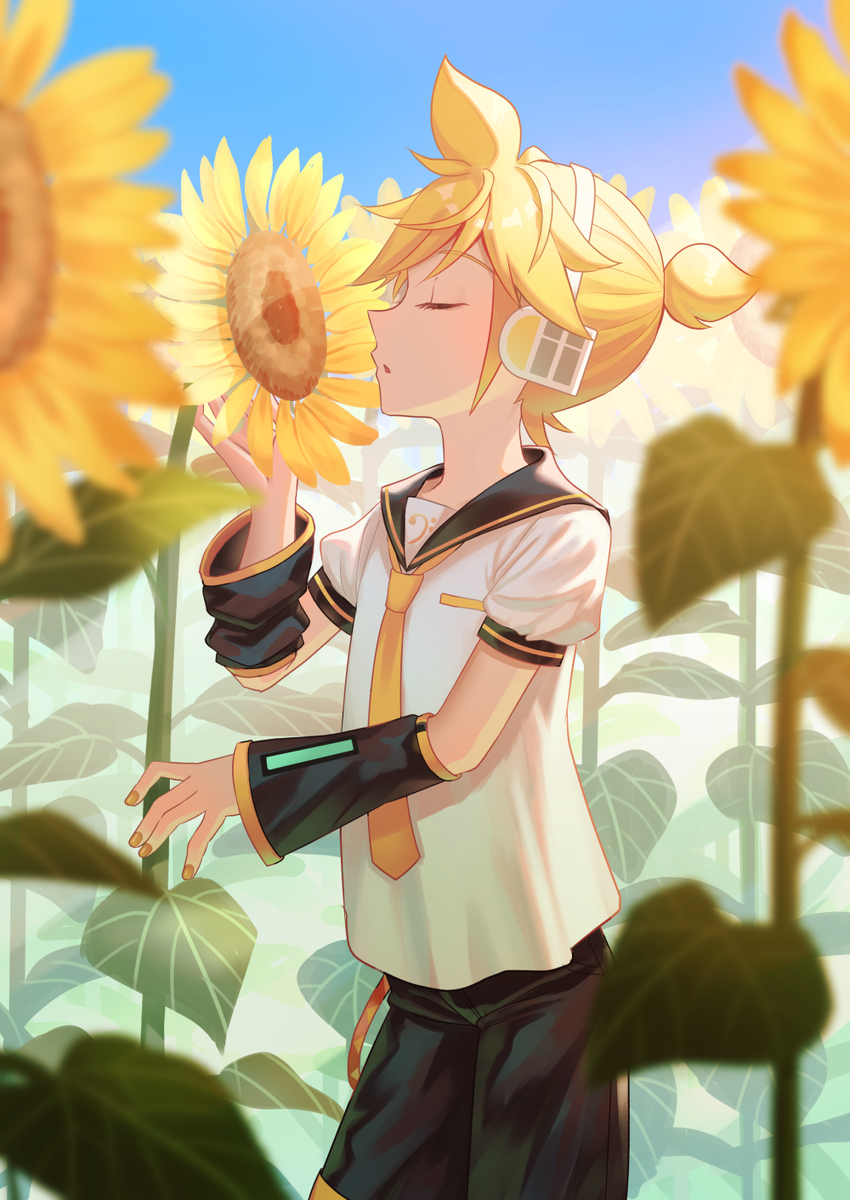 This is a pixiv picture whose title is お日様の香り.