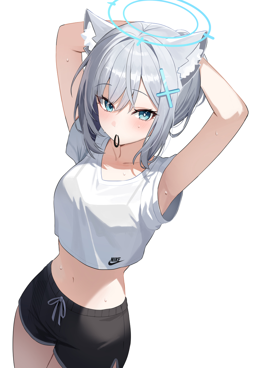 This is a pixiv picture whose title is シロコ.