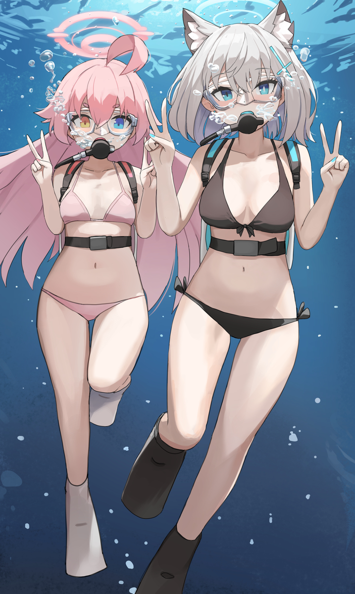 This is a pixiv picture whose title is シロコ, ホシノ.
