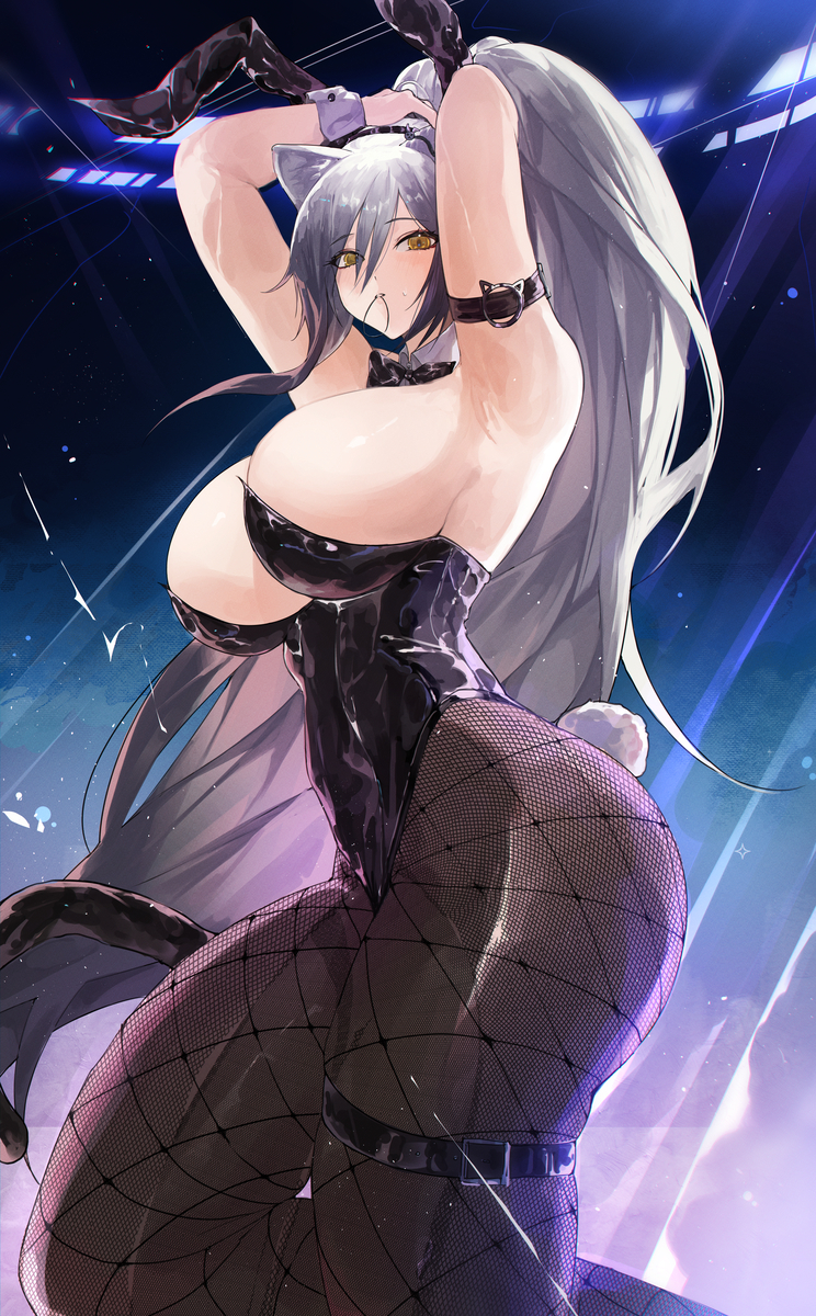 This is a pixiv picture whose title is Schwarz🐰.