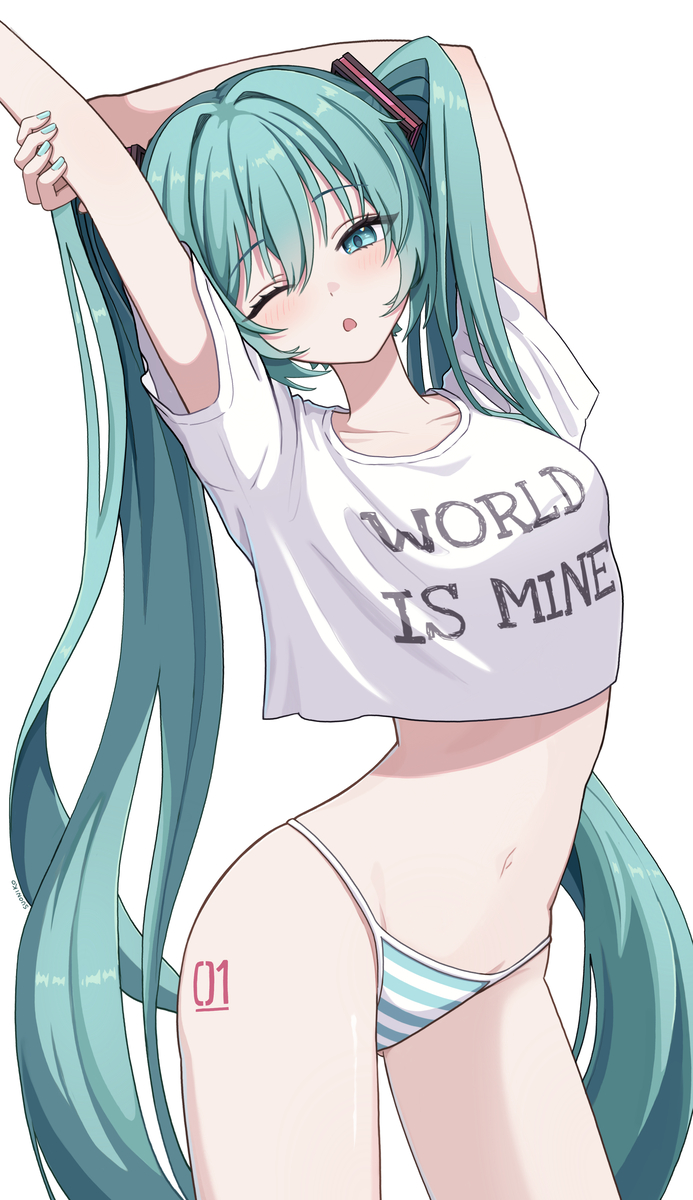 This is a pixiv picture whose title is Miku.