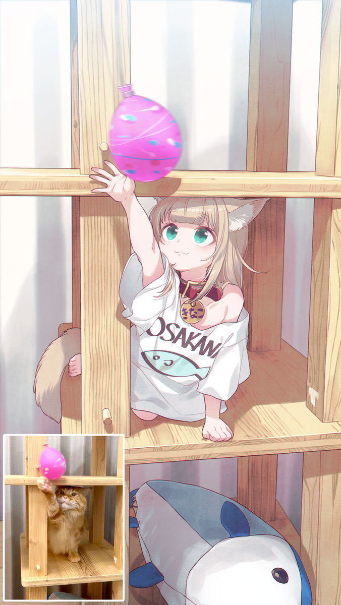 This is a pixiv picture whose title is お祭りのお土産で遊ぶうちの猫🎈🐈.