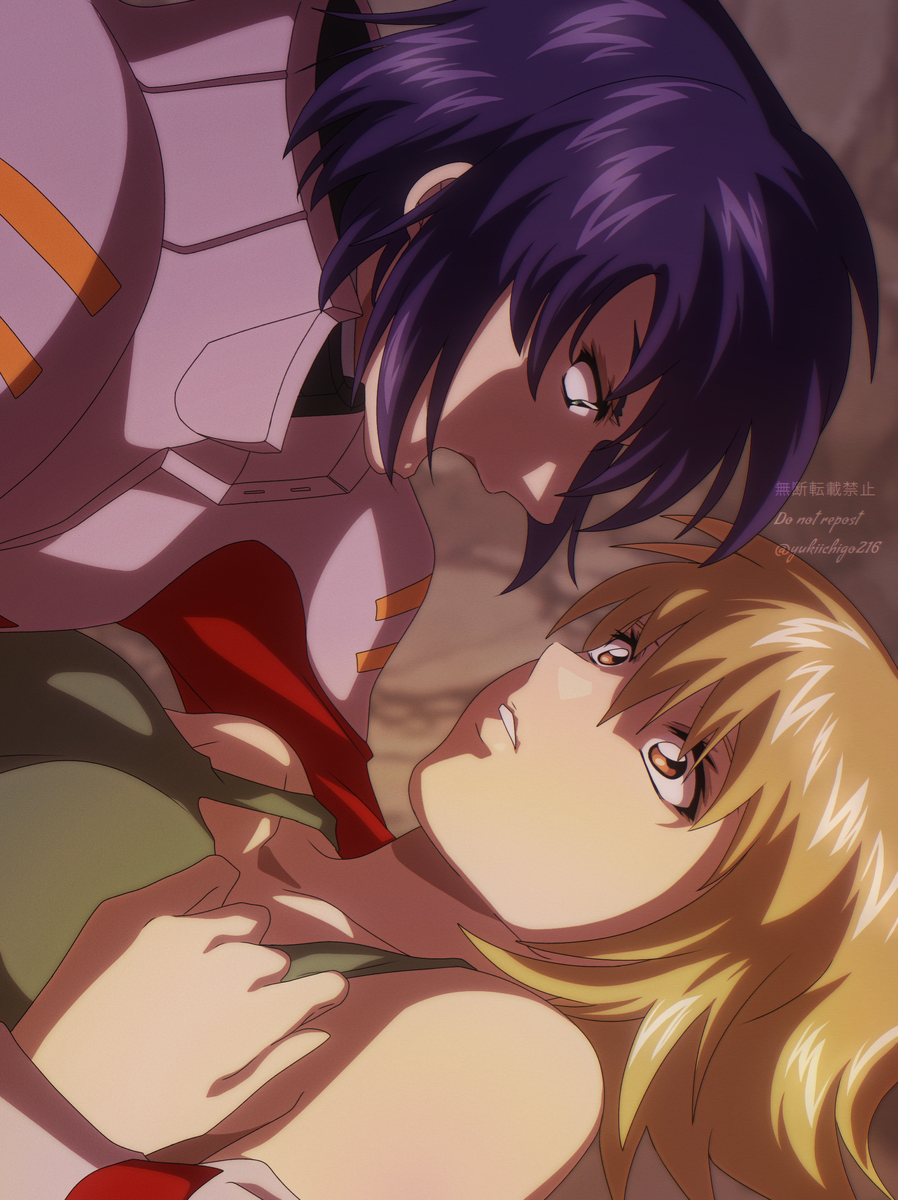 This is a pixiv picture whose title is 種ログ14.
