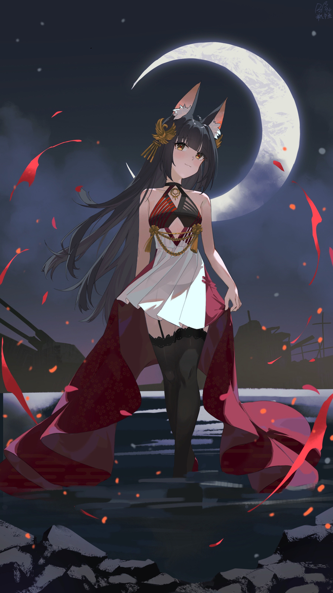 This is a pixiv picture whose title is 長門META.
